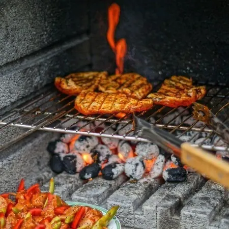 In Mit Terrasse Und Grill 公寓 *